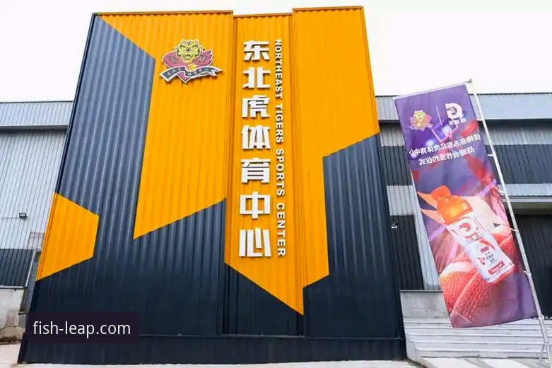 5个维度深度解析：乐鱼体育最新活动如何提升观赛体验